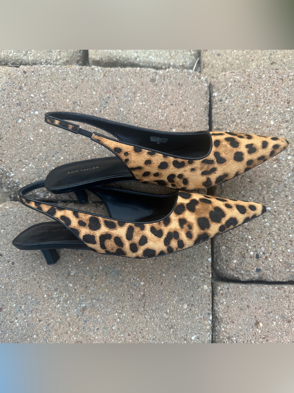 Ann Taylor leopard print kitten heel sling back pumps calf hair women's size 9